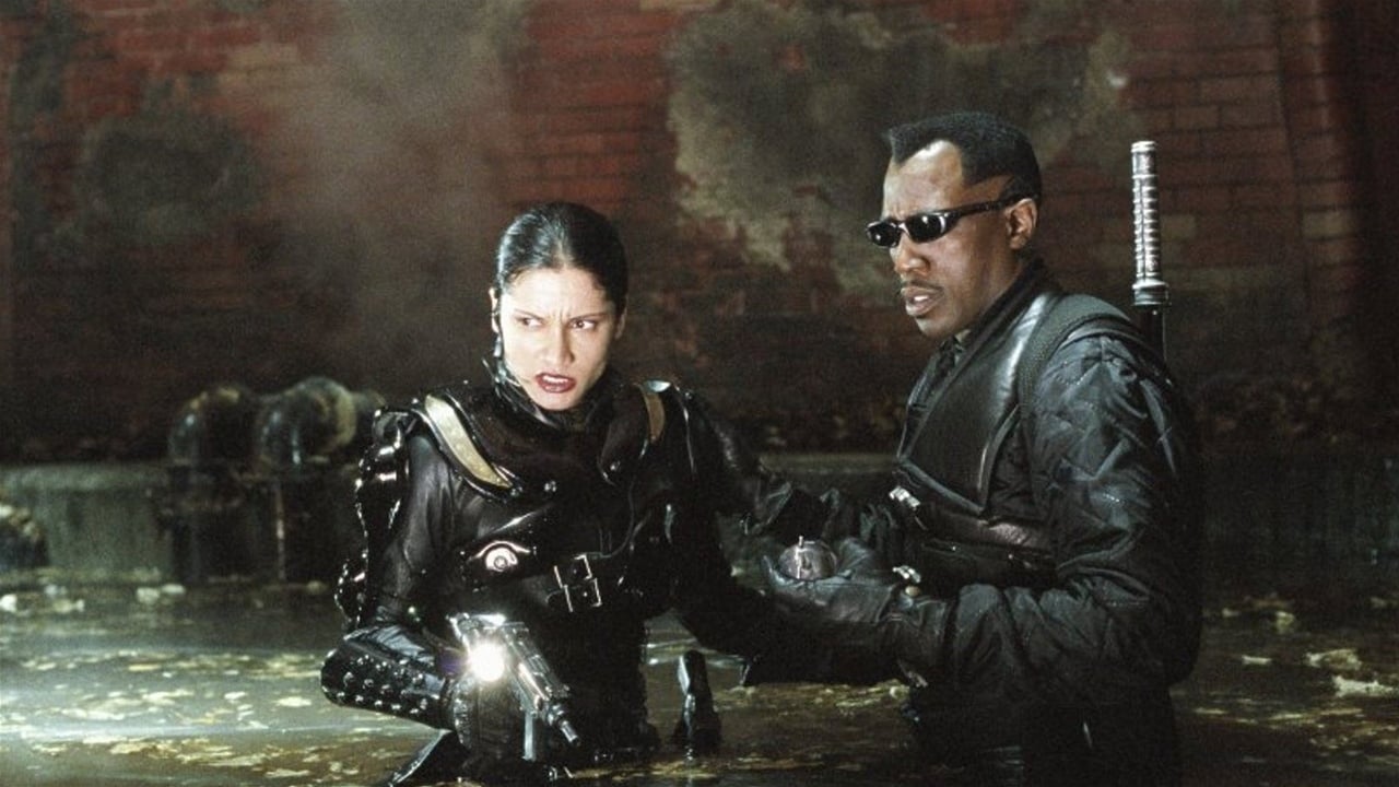 Image du film Blade 2 8ge5fnzubkhqknfztozrbedoka3jpg