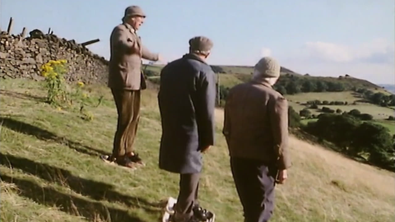 Last of the Summer Wine