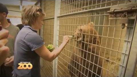 Une saison au zoo