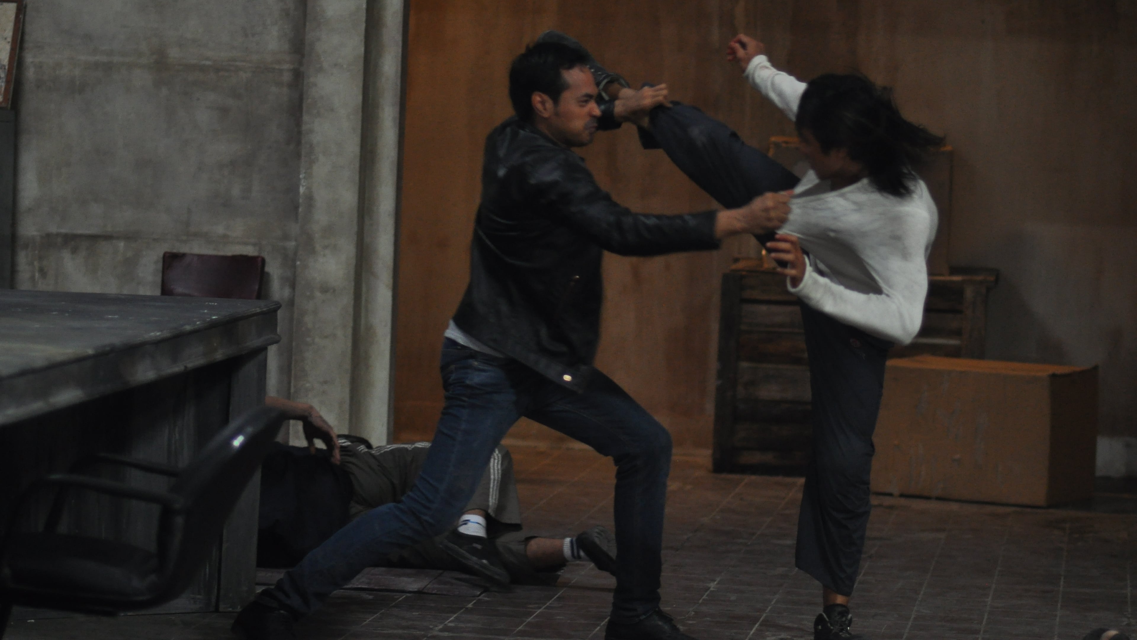 watch the raid online english subtitles