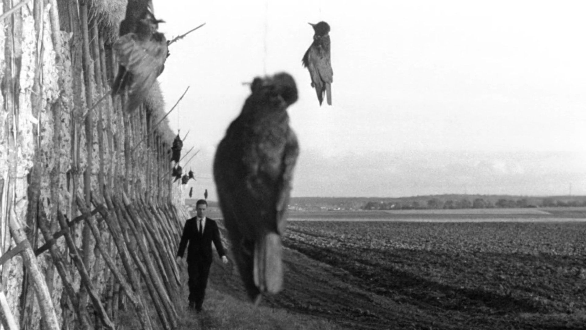 Ophélia (1963)