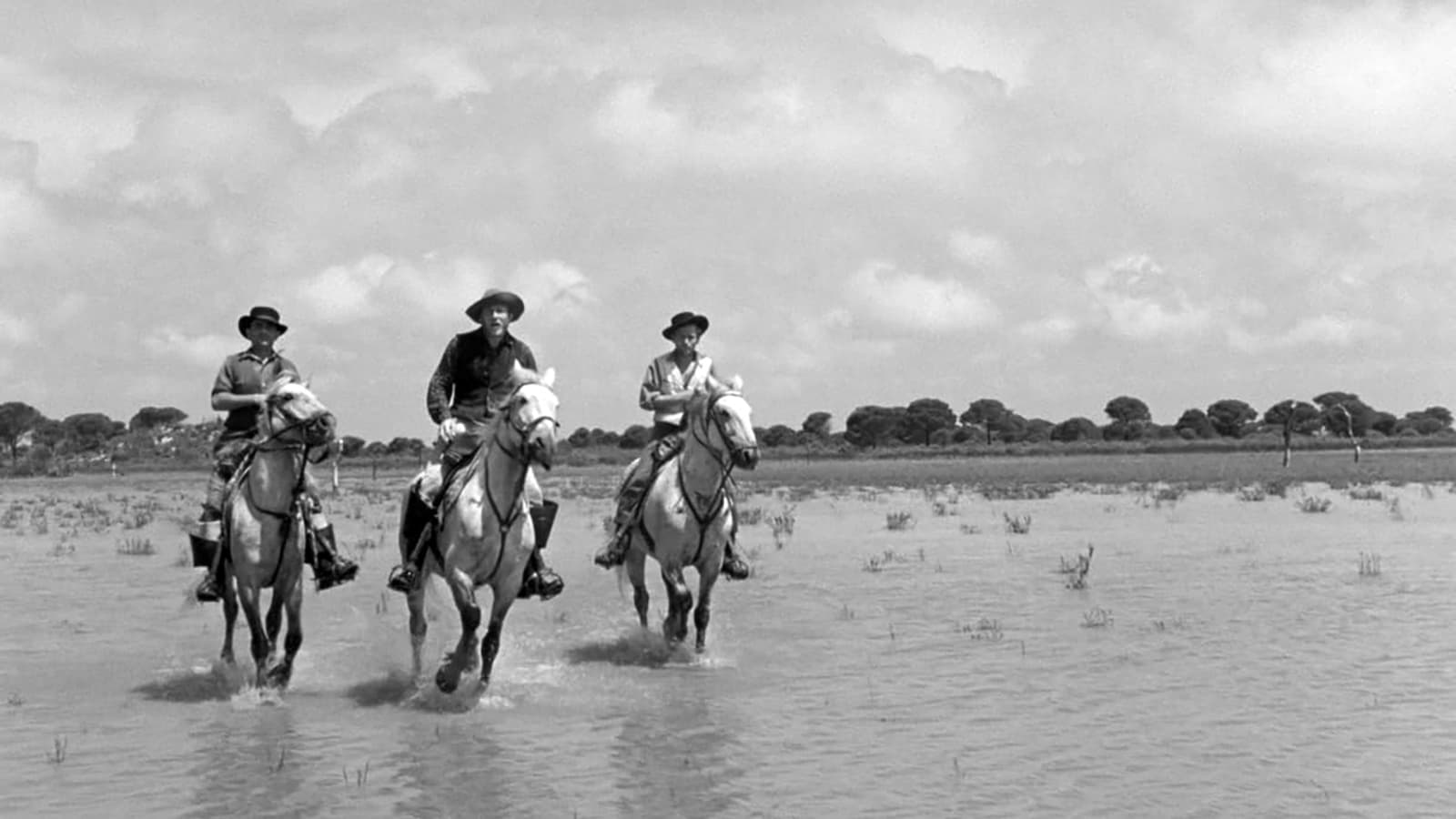 Crin blanc: Le cheval sauvage