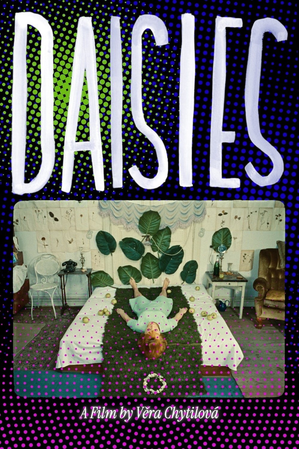 Daisies