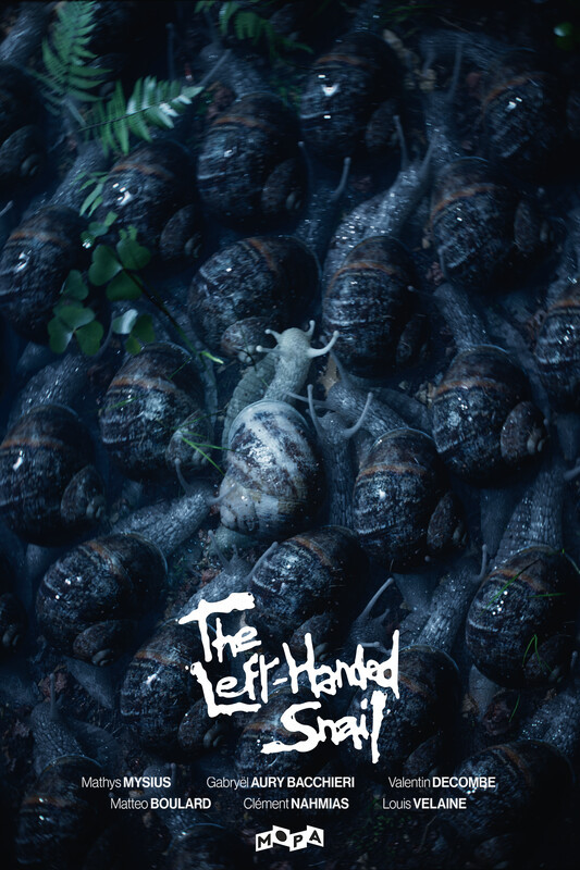 The Left-Handed Snail