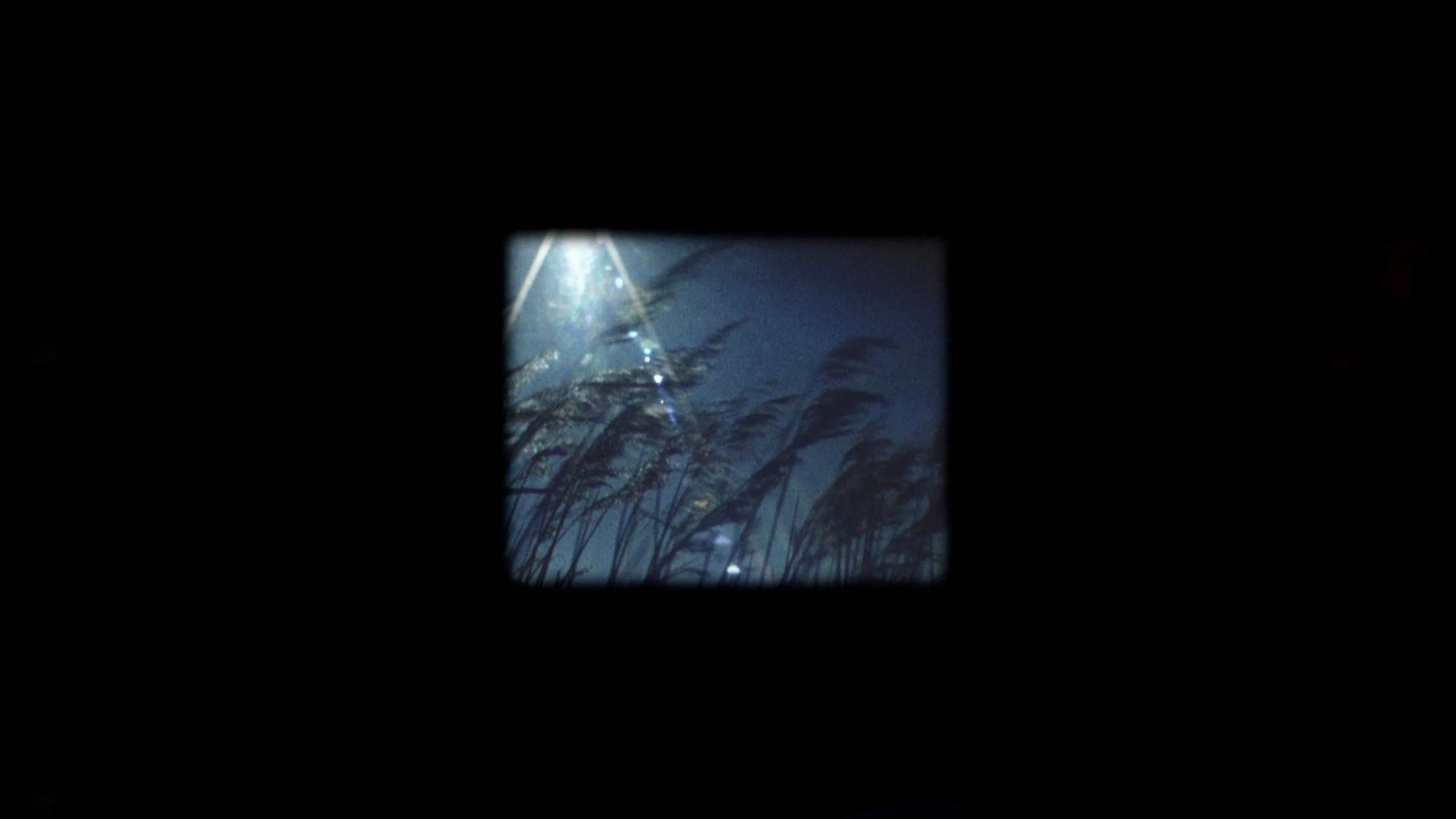 The Dreamed Films (2010)