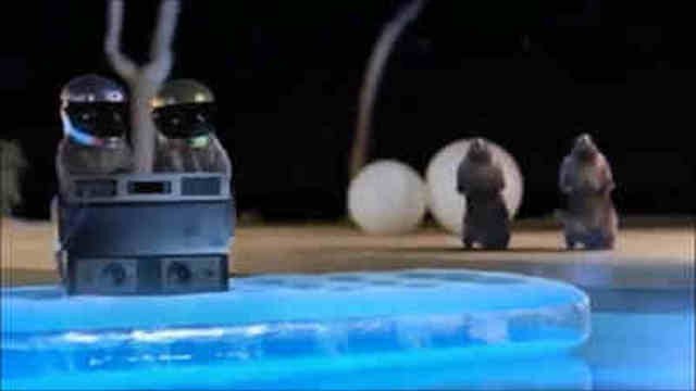 Les Marmottes - Daft Punk