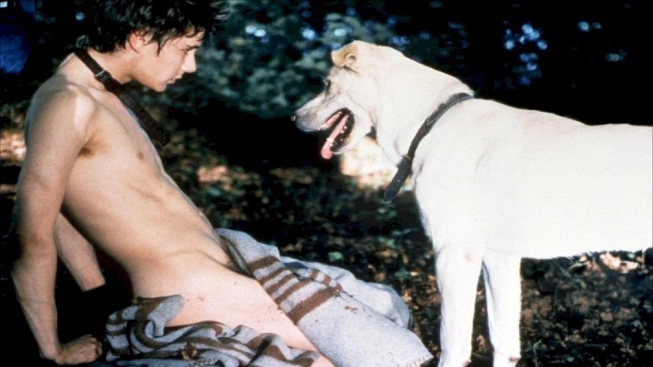 Fögi Is a Bastard (1998)