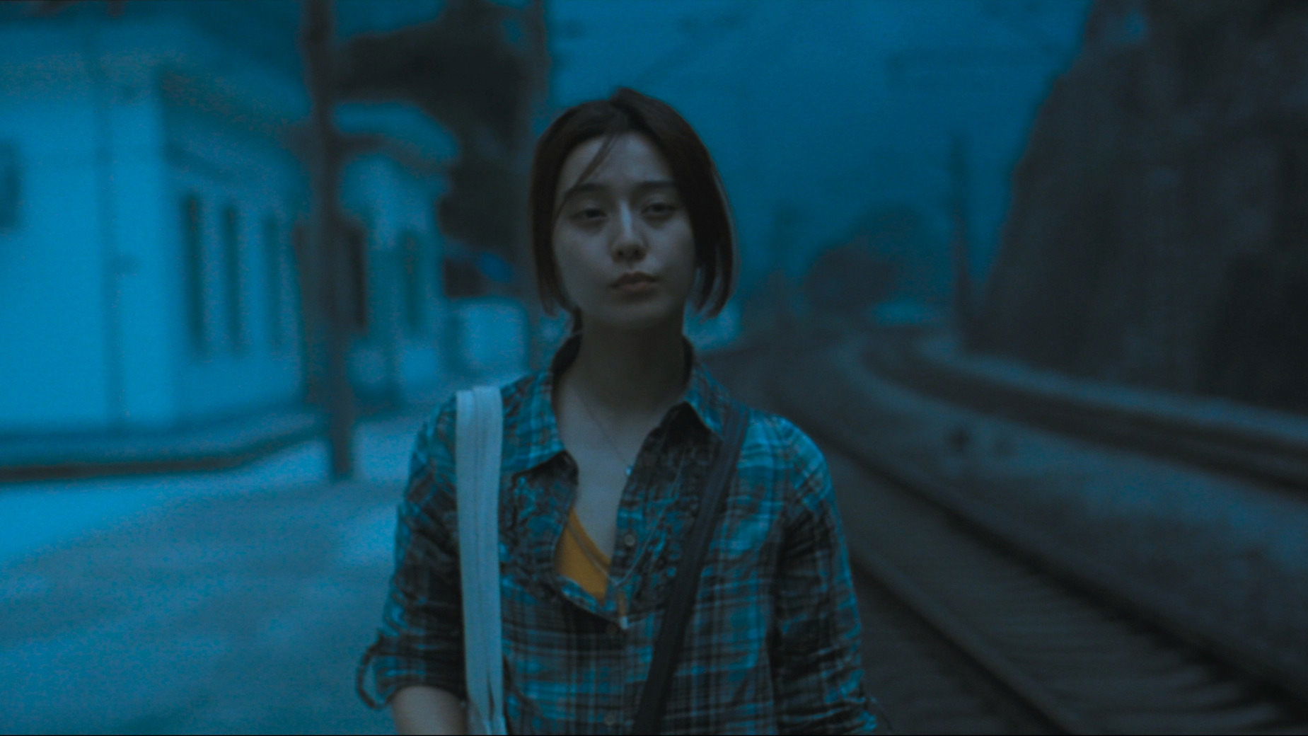 Buddha Mountain (2010)
