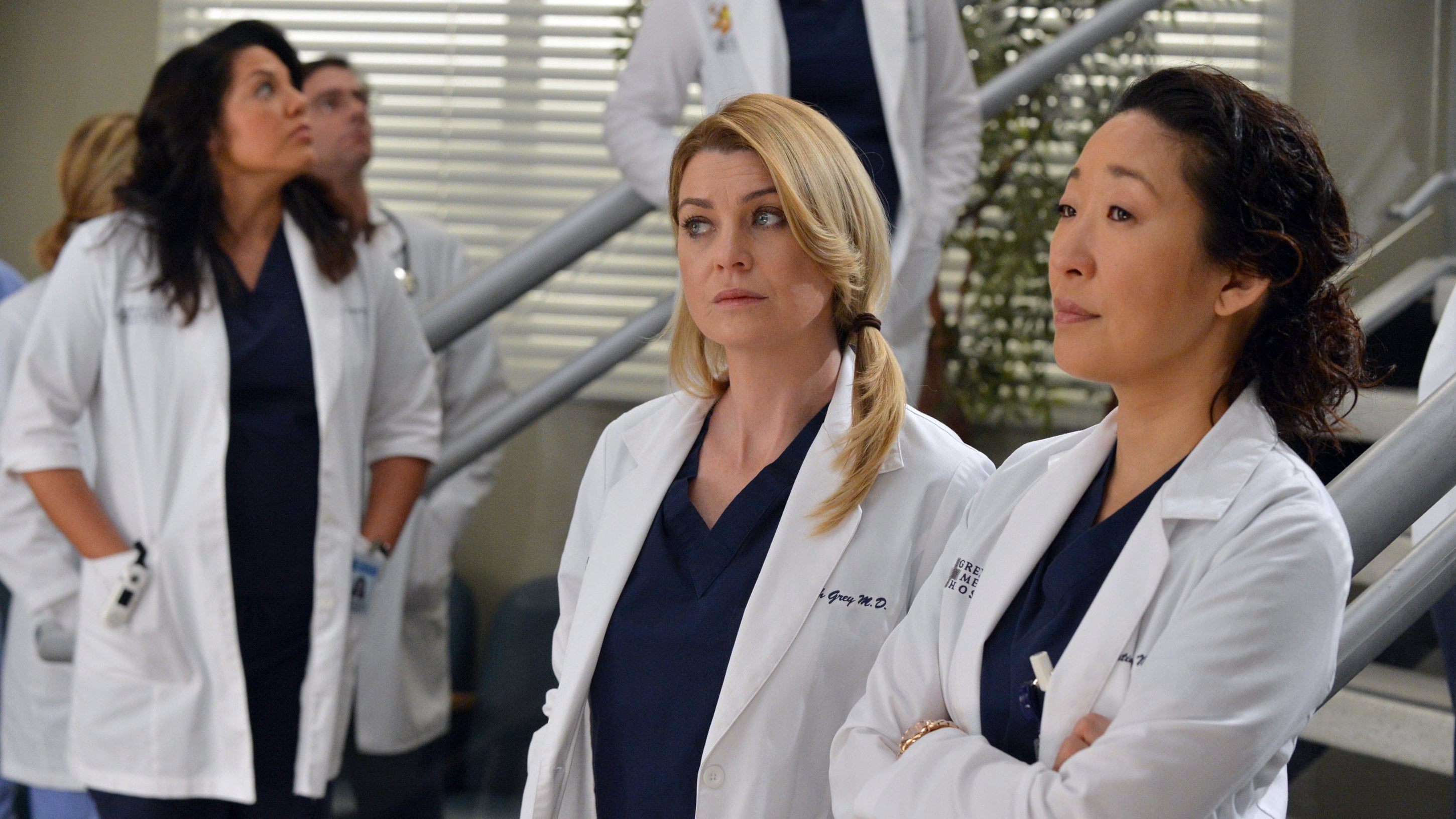 Grey's Anatomy Season 10 :Episode 14  You've Got to Hide Your Love Away