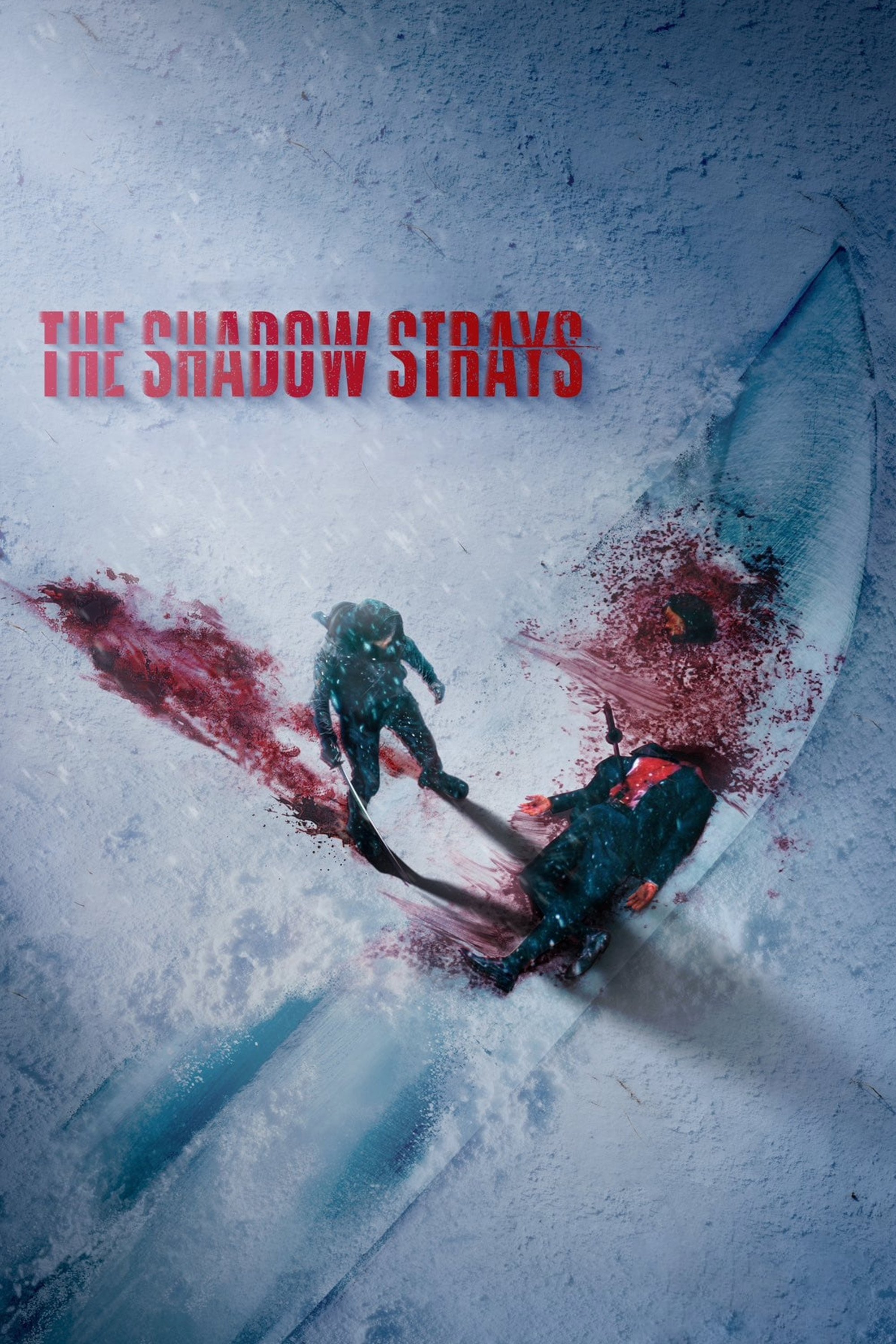 The Shadow Strays