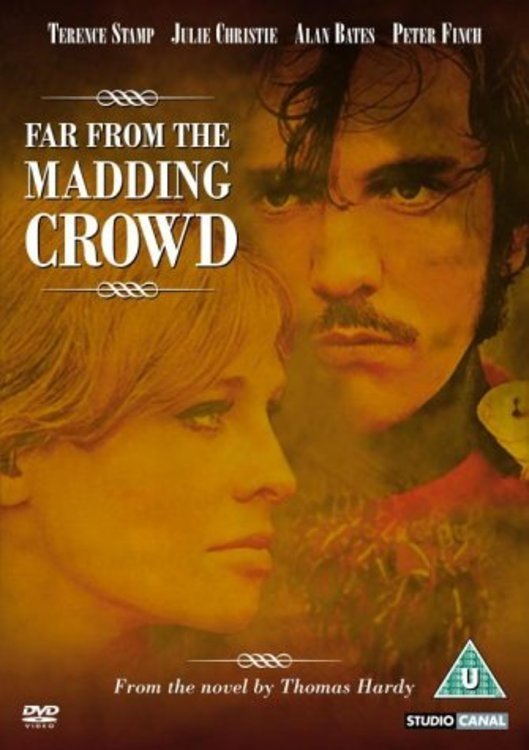 Far from the Madding Crowd