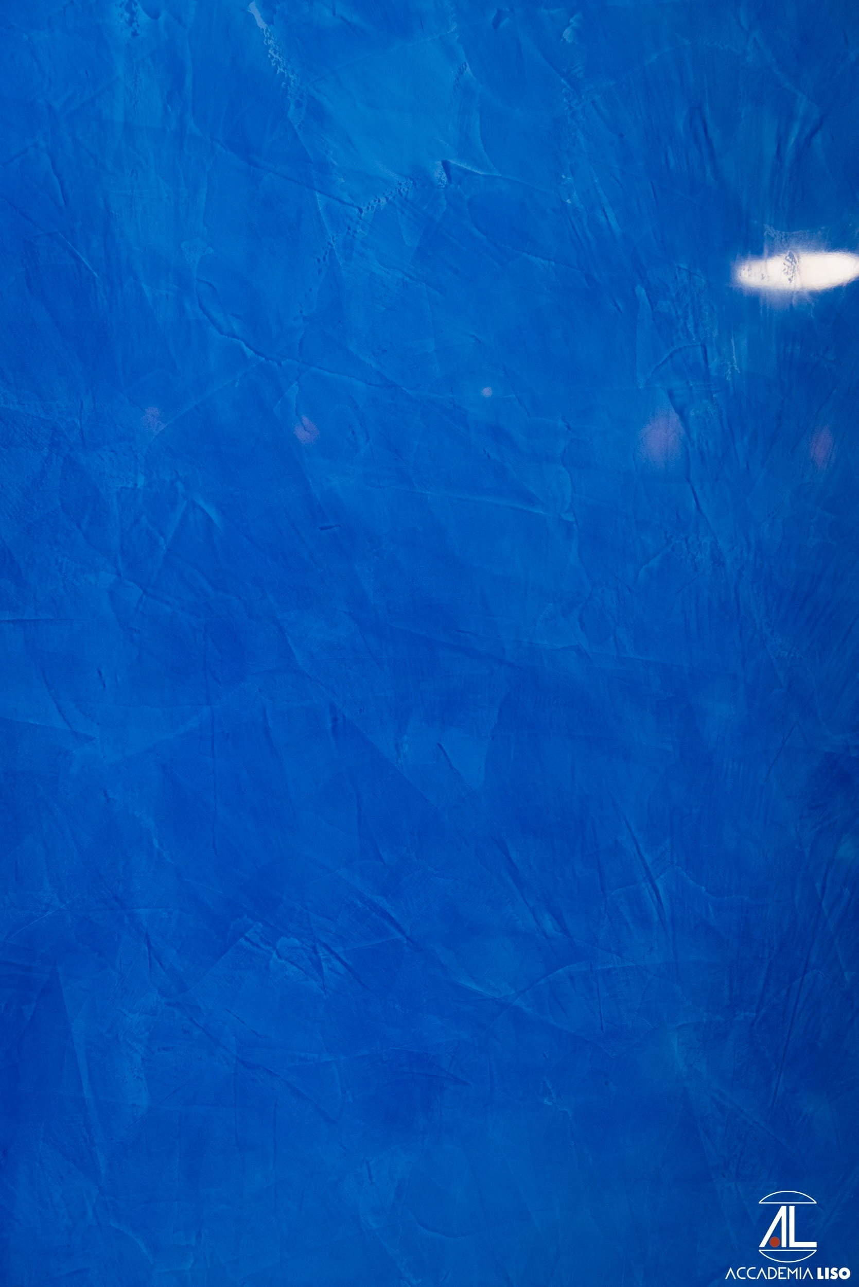 Poster de Blu