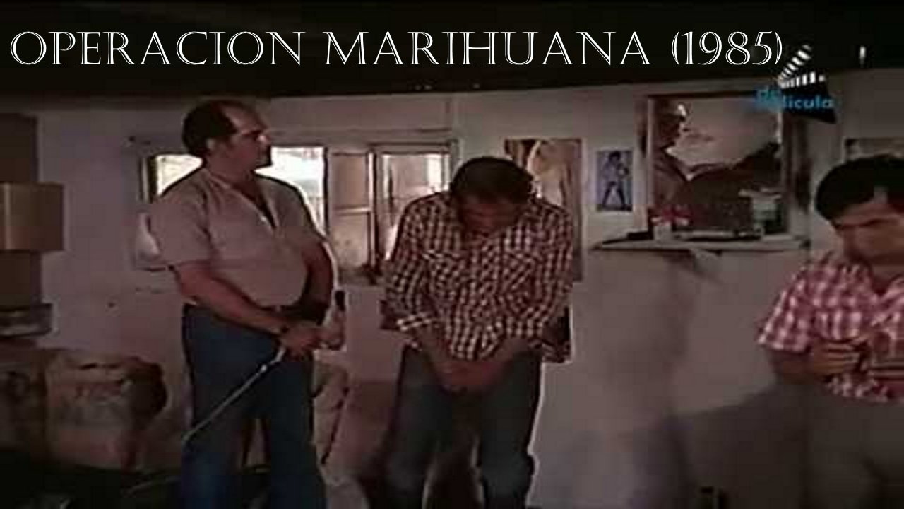 Operacion marihuana (1985)
