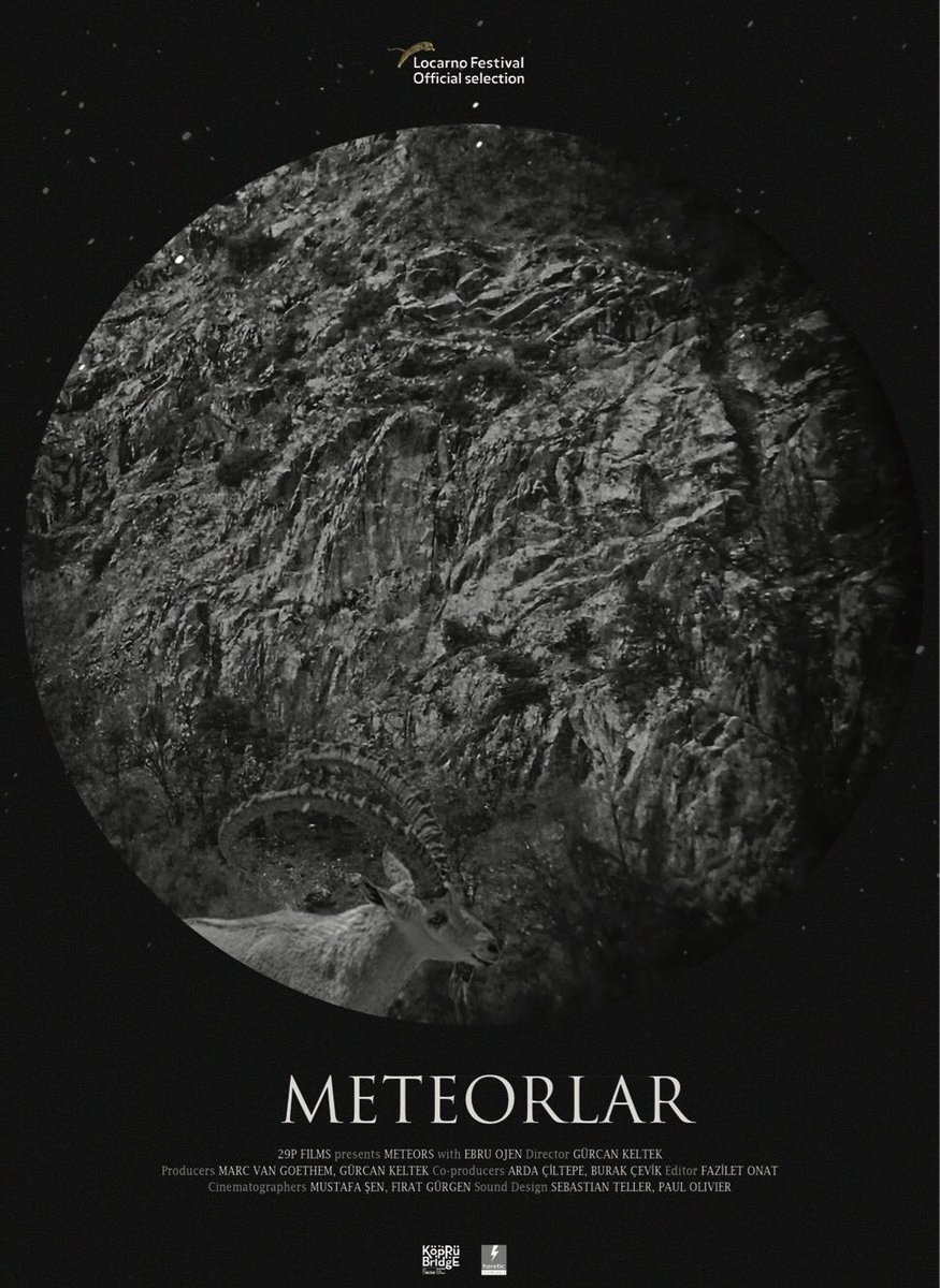 Affiche du film Meteors 146807