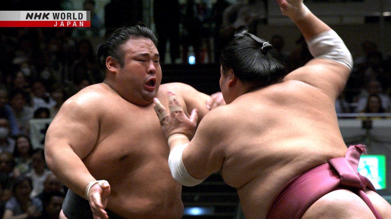 GRAND SUMO Highlights