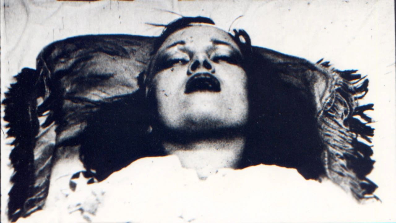 Ecstatic Stigmatic backdrop
