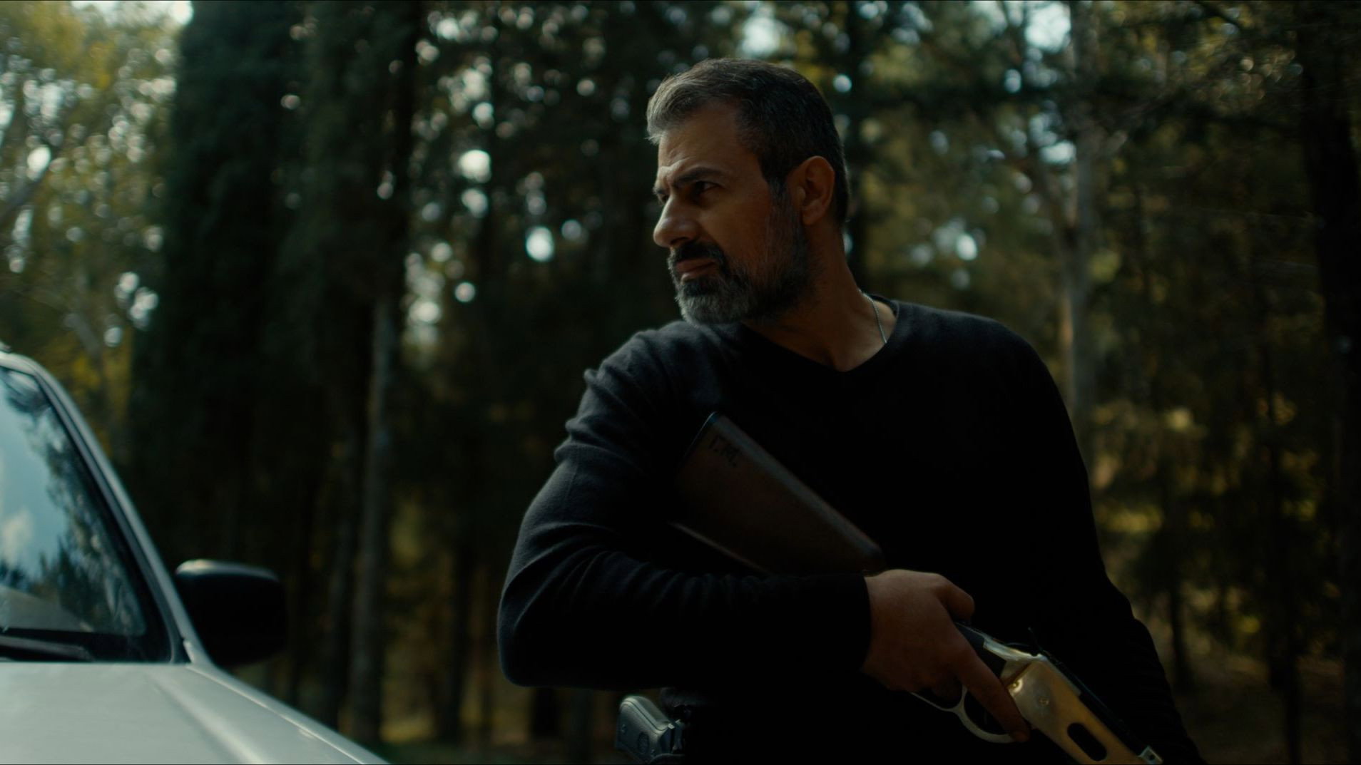 Secret of the Forest