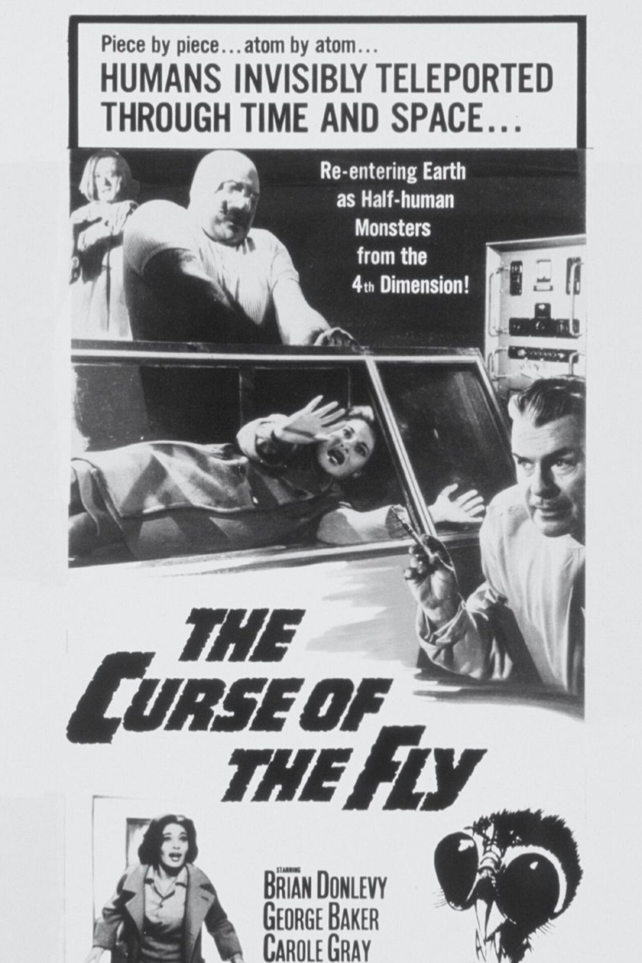 Curse of the Fly