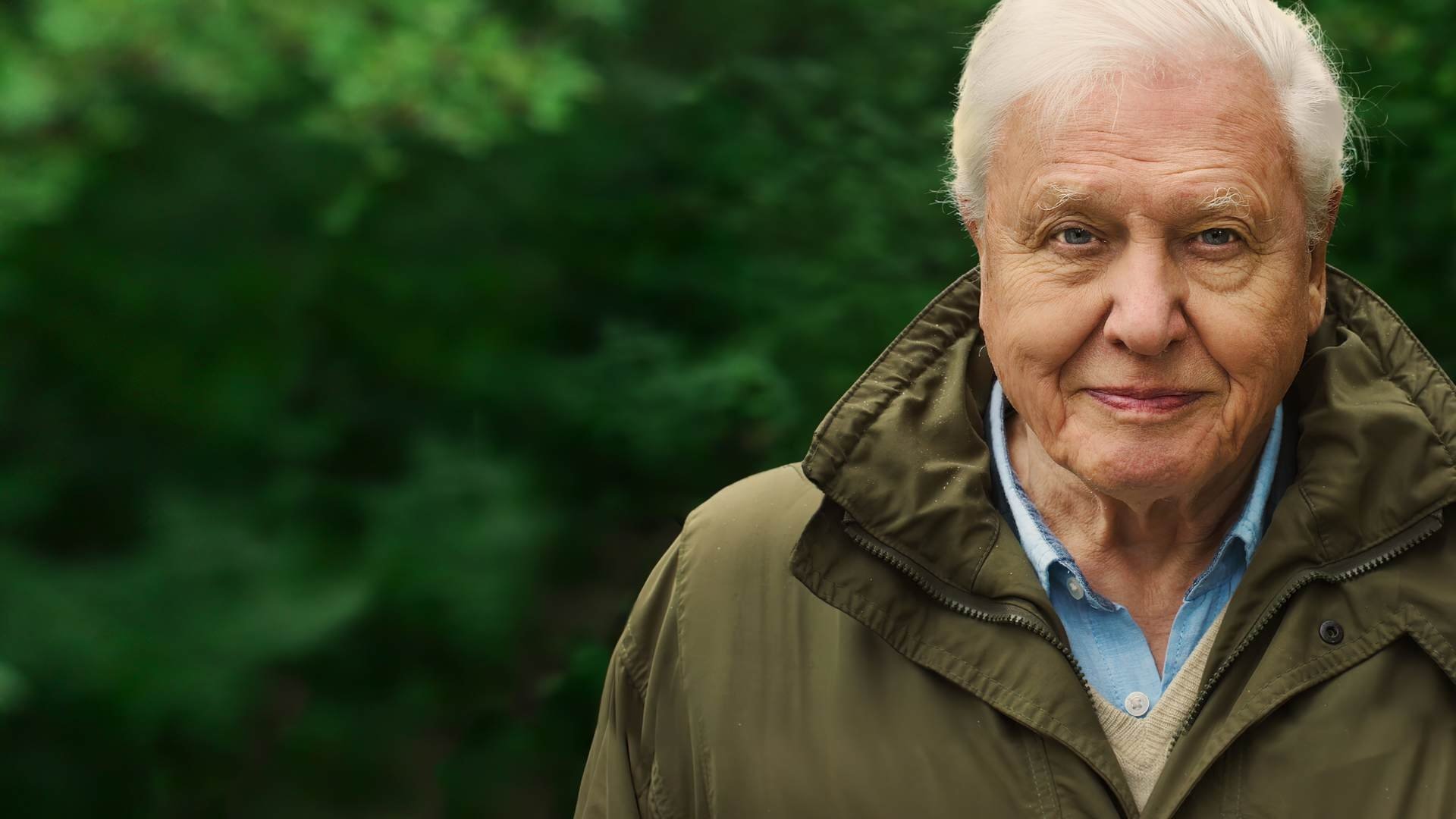 David Attenborough: Uma Vida no Nosso Planeta (2020)