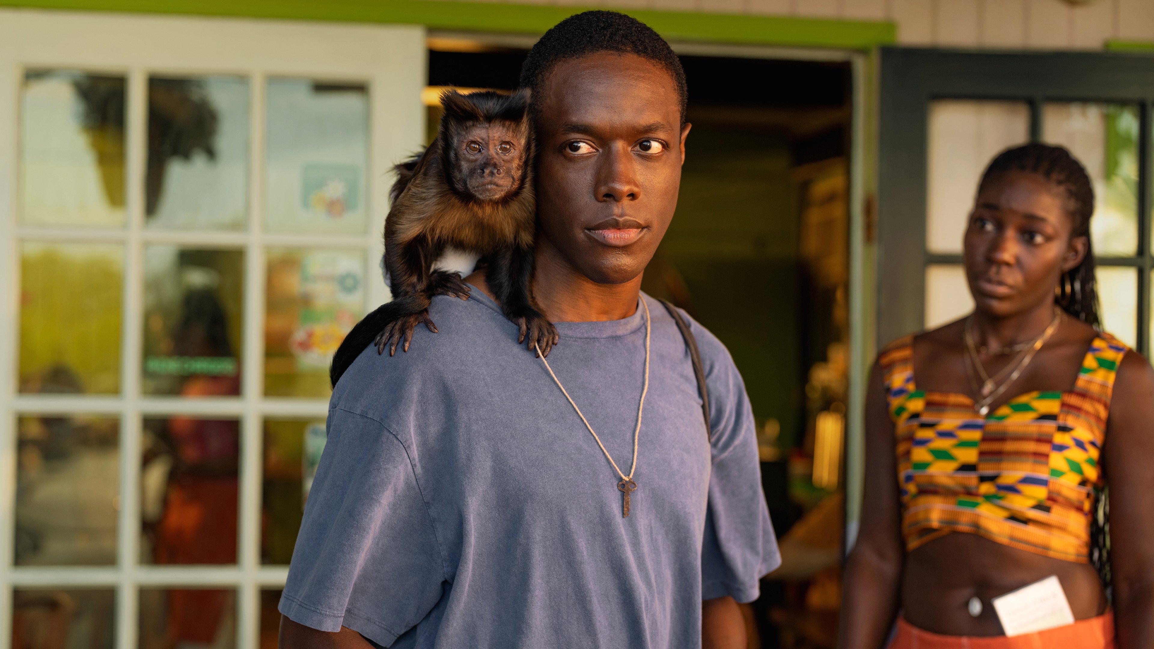 Bad Monkey: Negocios turbios