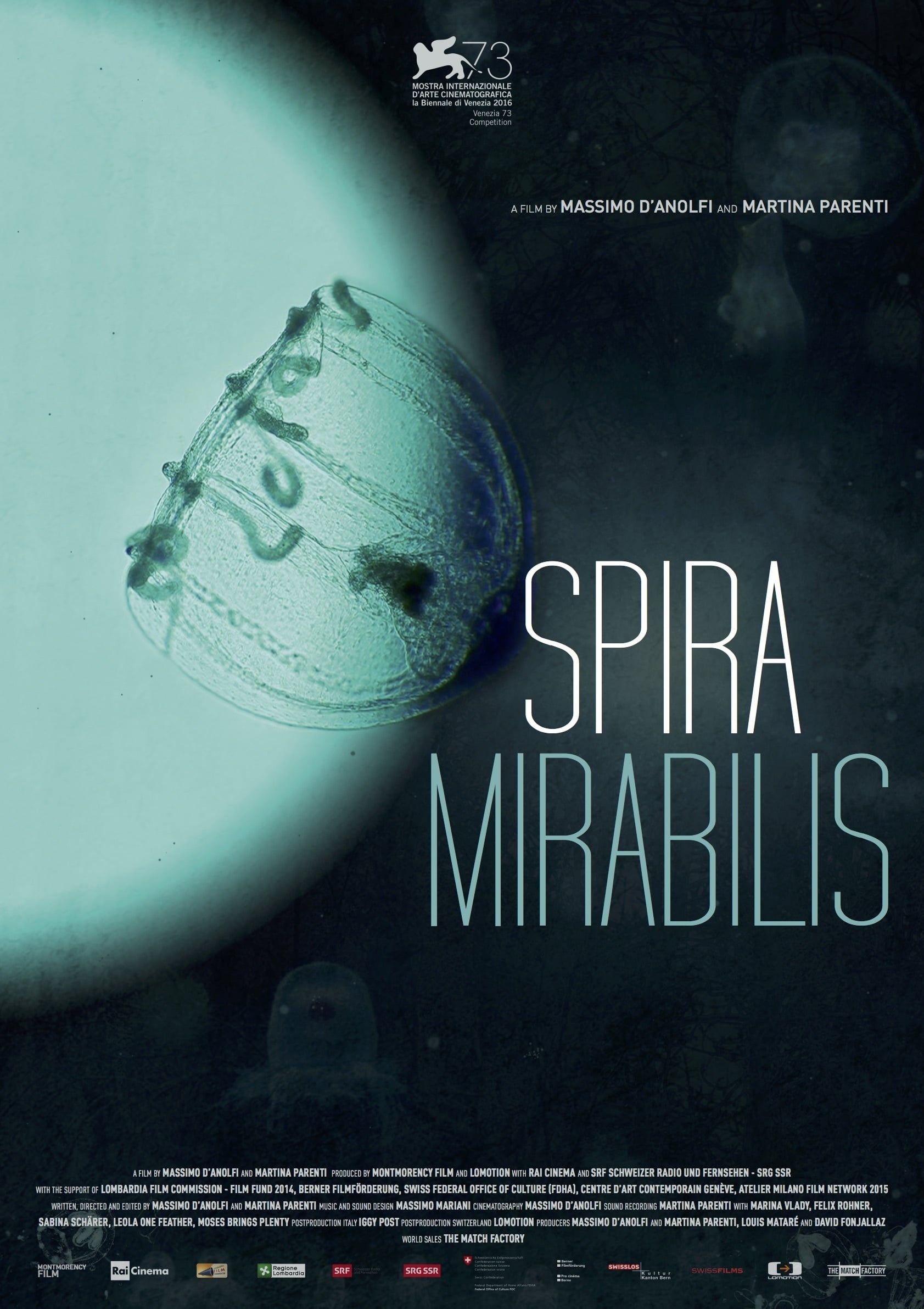 Affiche du film Spira Mirabilis 13180