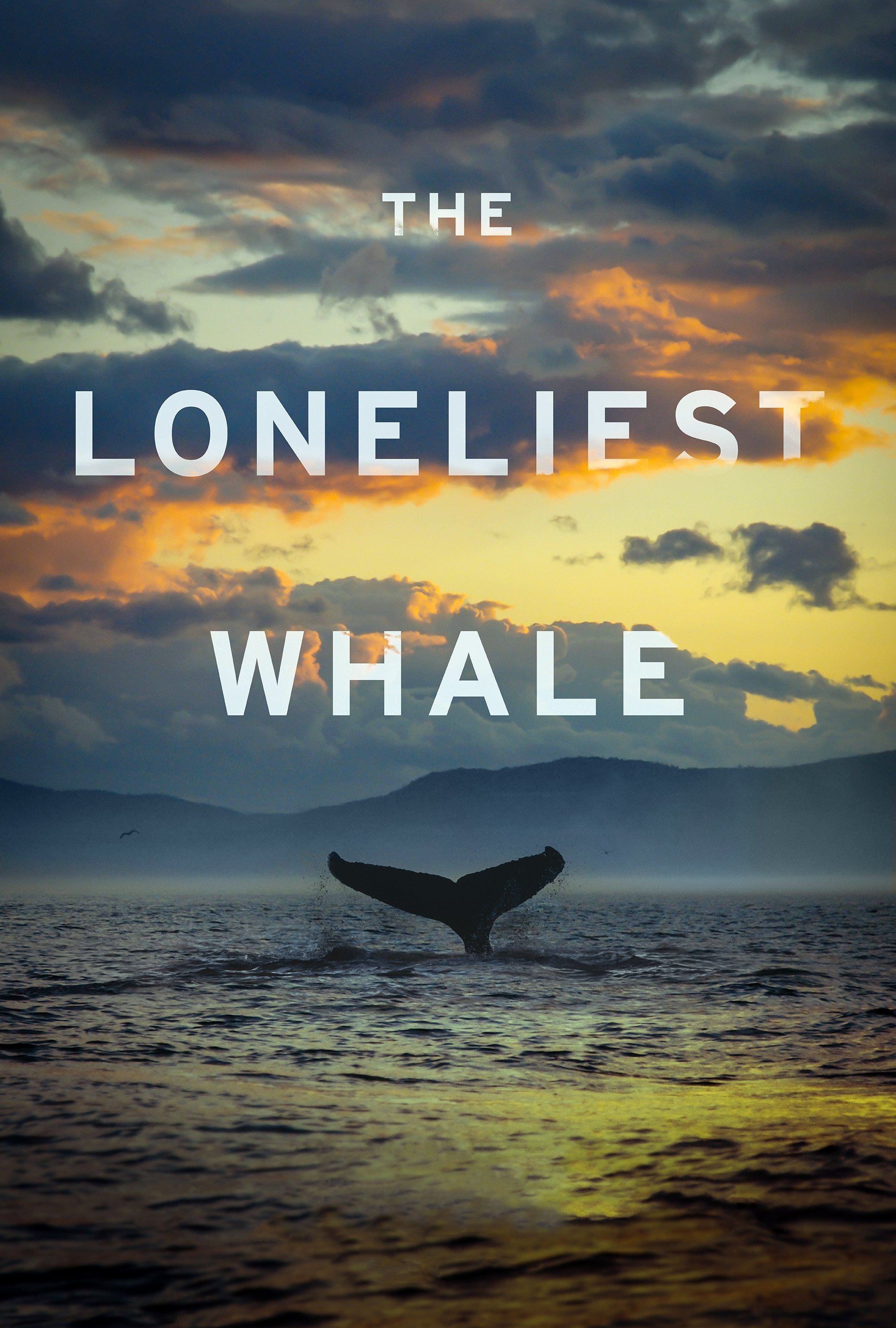 The Loneliest Whale: The Search for 52