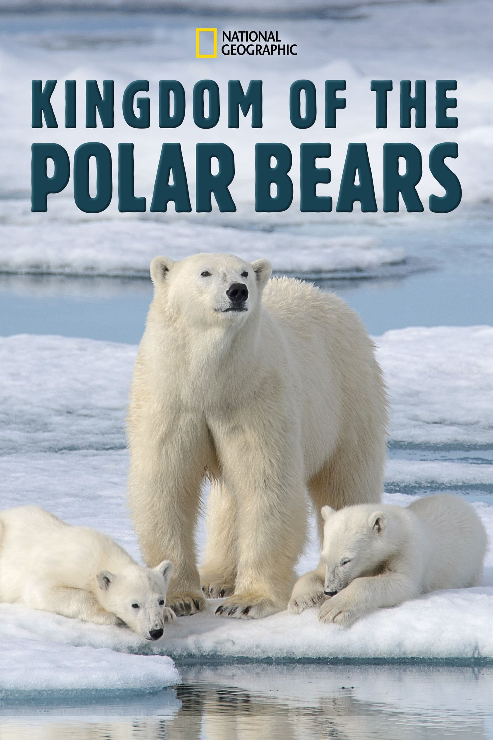 Kingdom of the Polar Bears TV Shows About Polar Bear