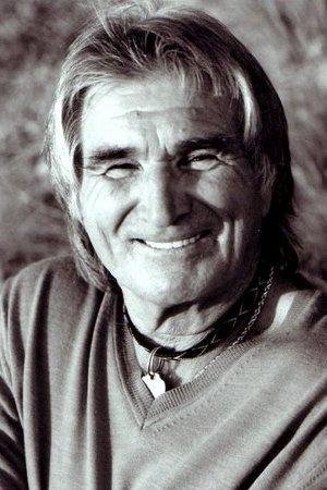 et billede af Vojislav Govedarica