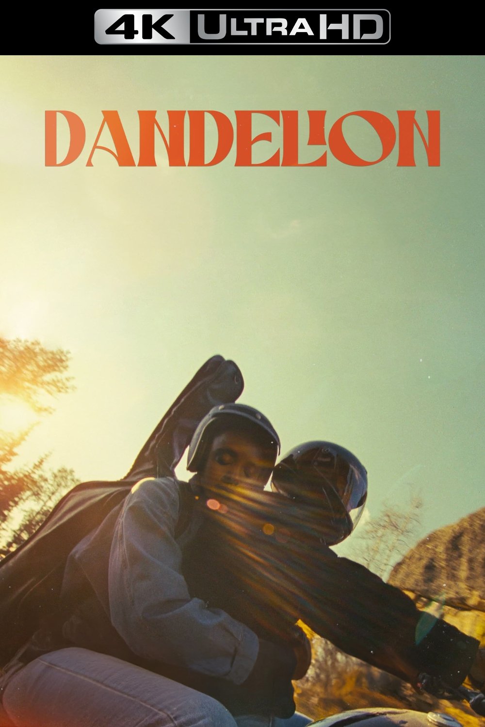 Dandelion