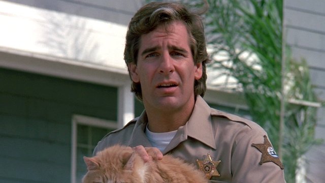 Quantum Leap