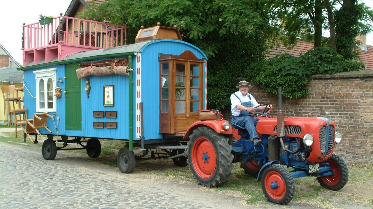 Löwenzahn