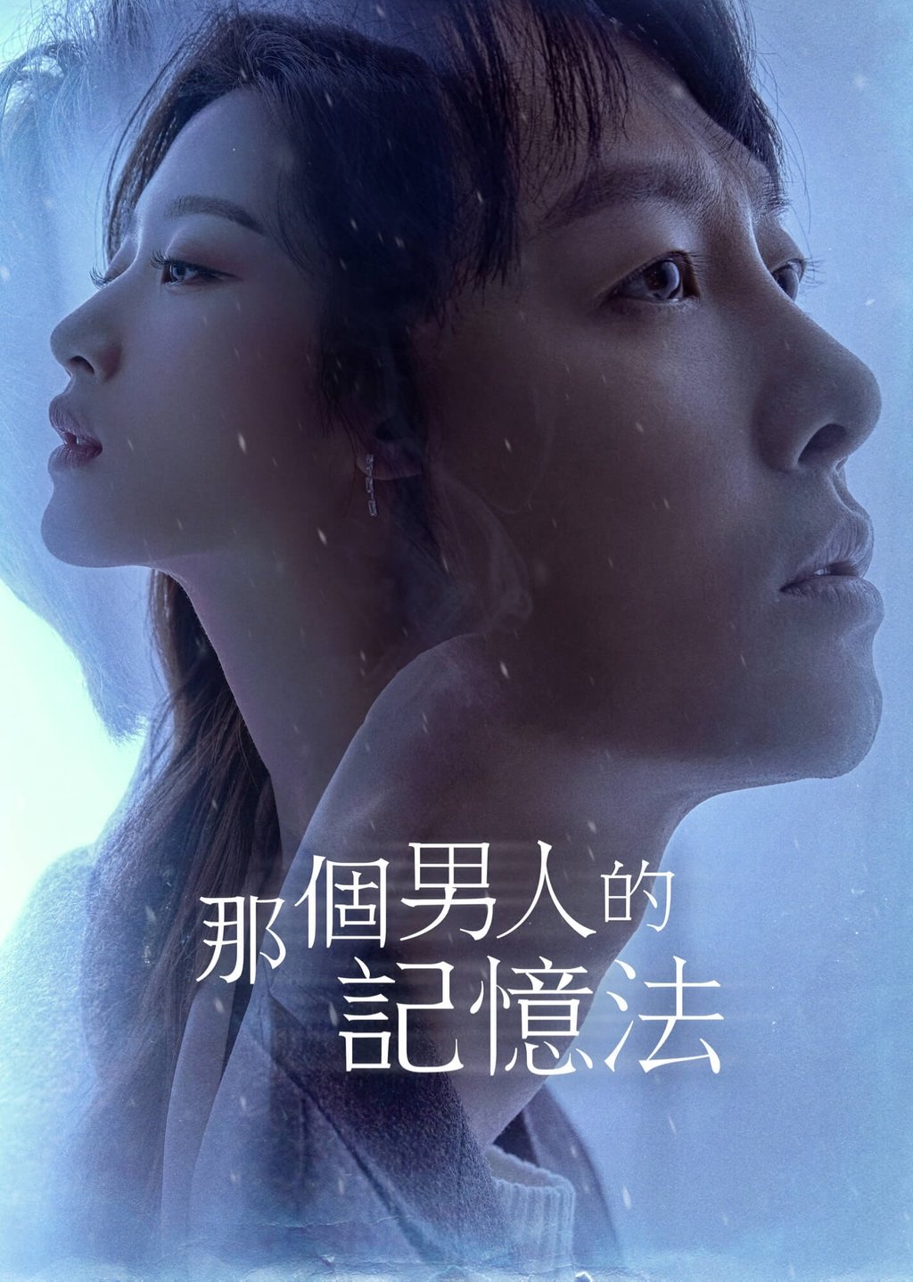 Find Me in Your Memory - Season 1
