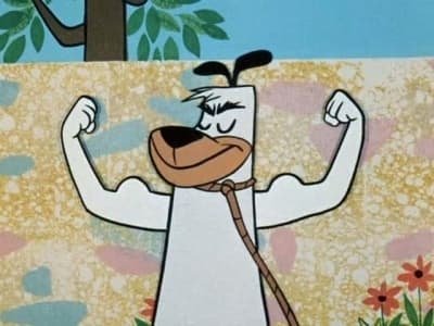 The Huckleberry Hound Show