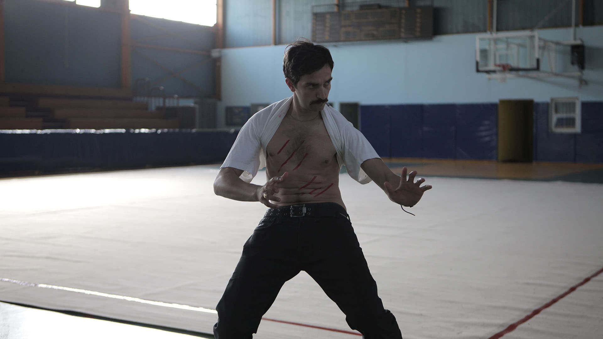 Alps (2011)