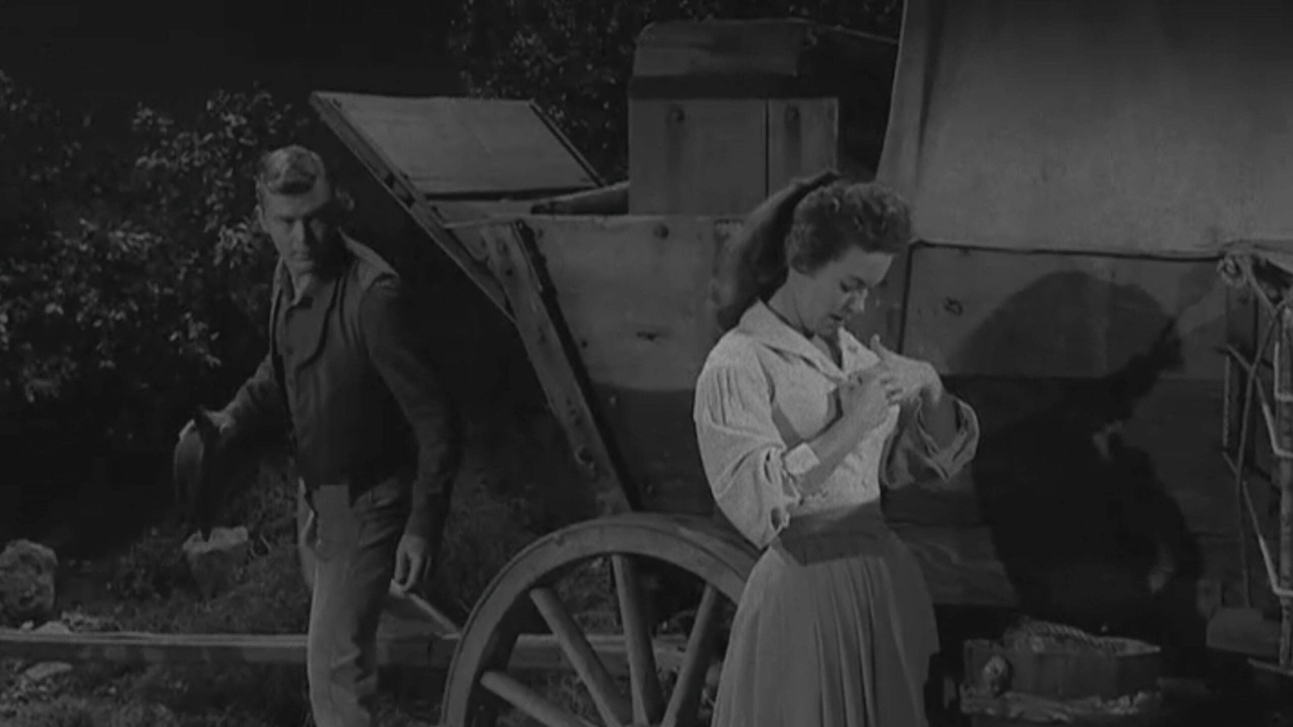 Wagon Train