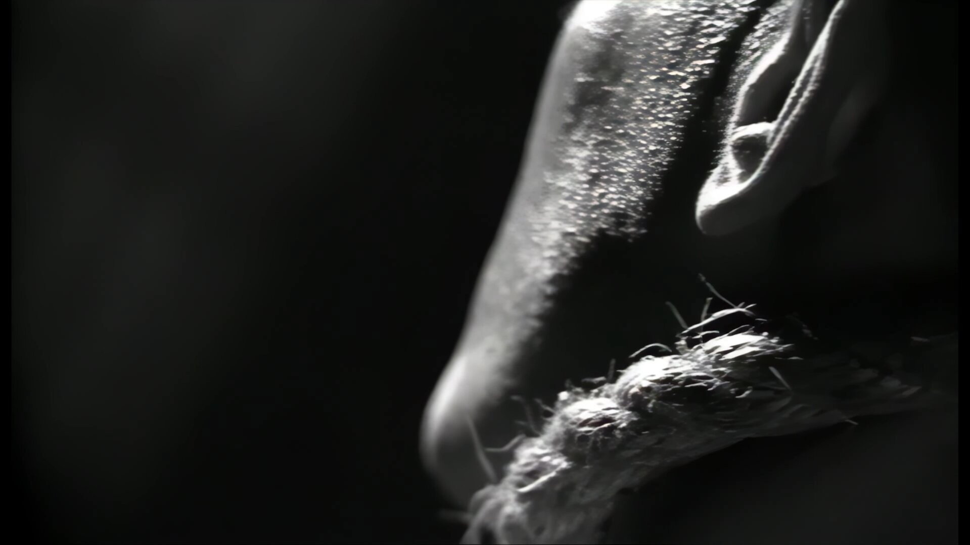 Nine Inch Nails: Broken