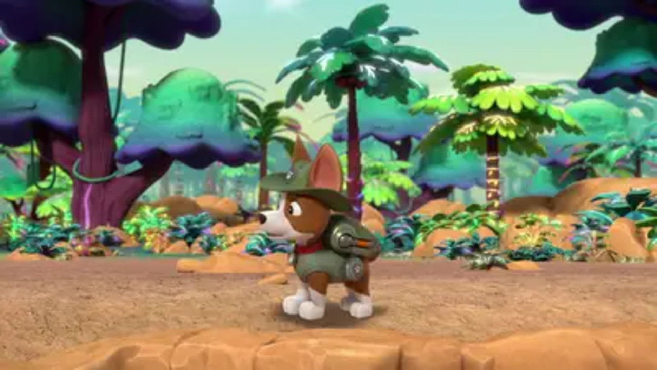 PAW Patrol Season 10 :Episode 24  Jungle Pups: Pups Find a Hidden Jungle