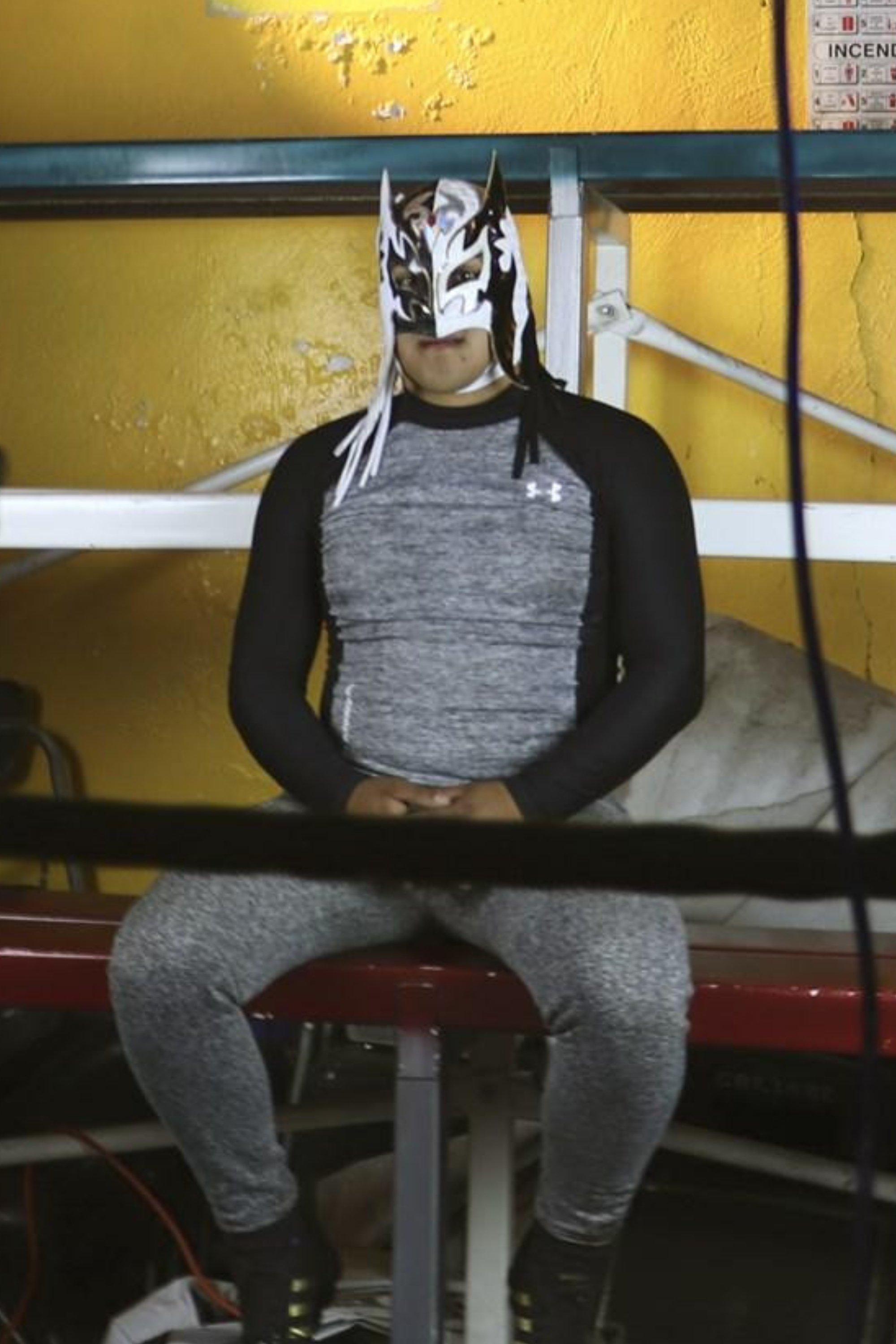 et billede af Duck Black JR