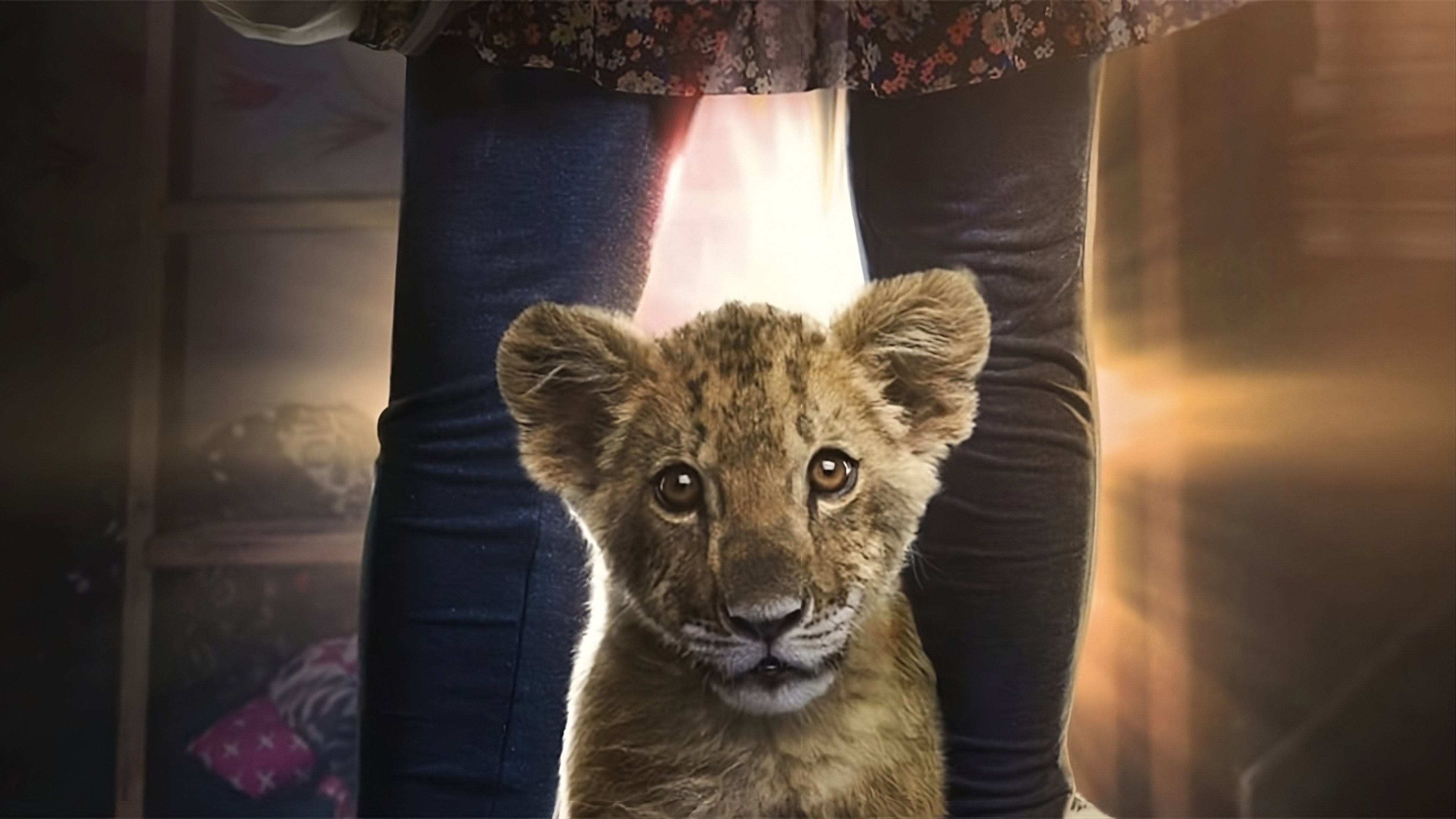 King, mi pequeño rey (2022)