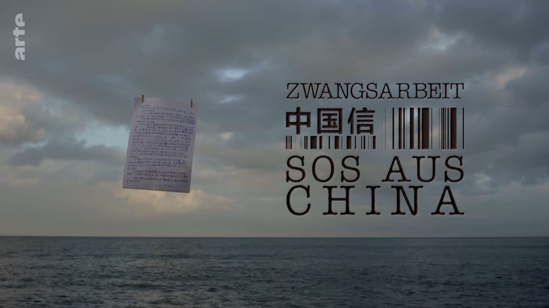 Zwangsarbeit - SOS aus China