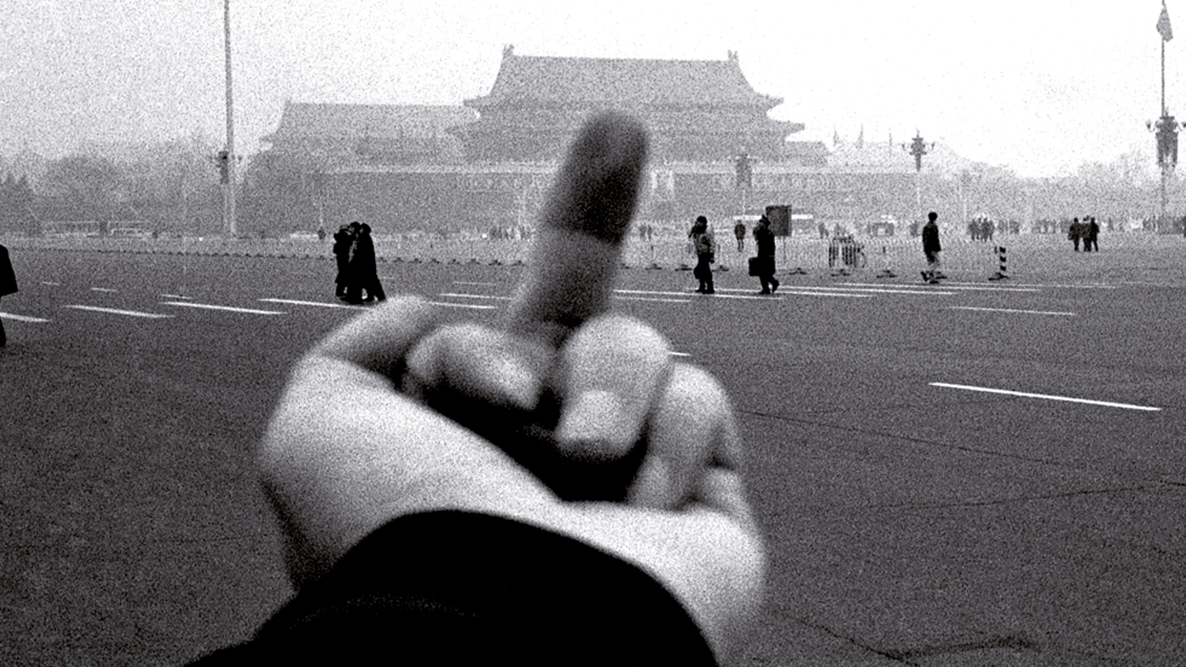 Ai weiwei : sans remords (2012)