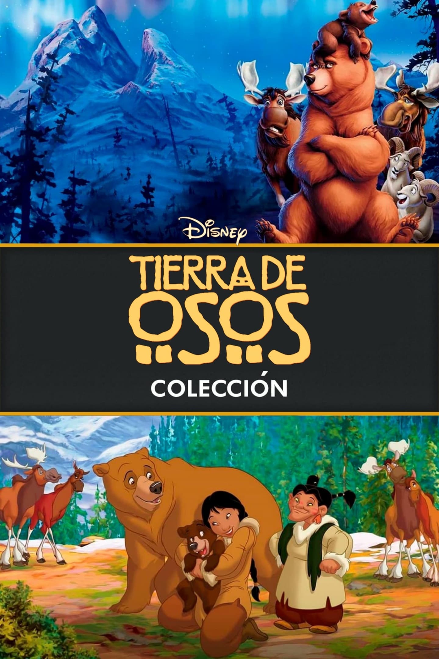 SAGA - HERMANO OSO