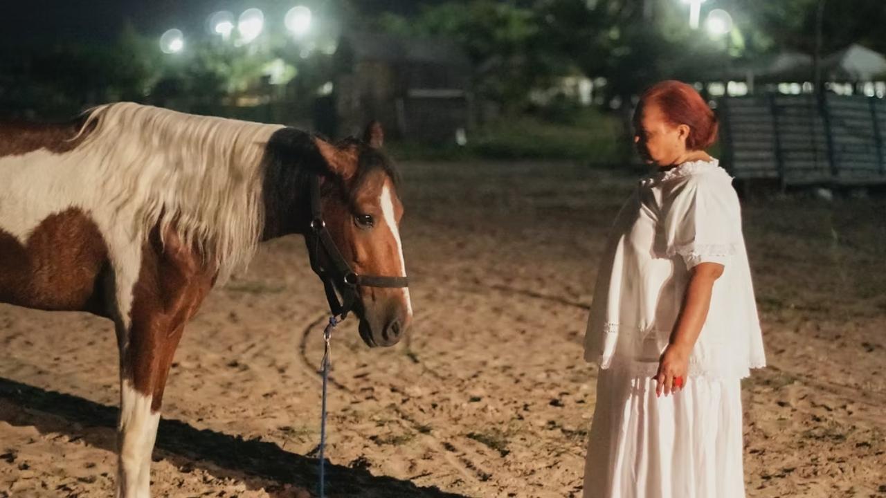 Axé meu amor (2023)