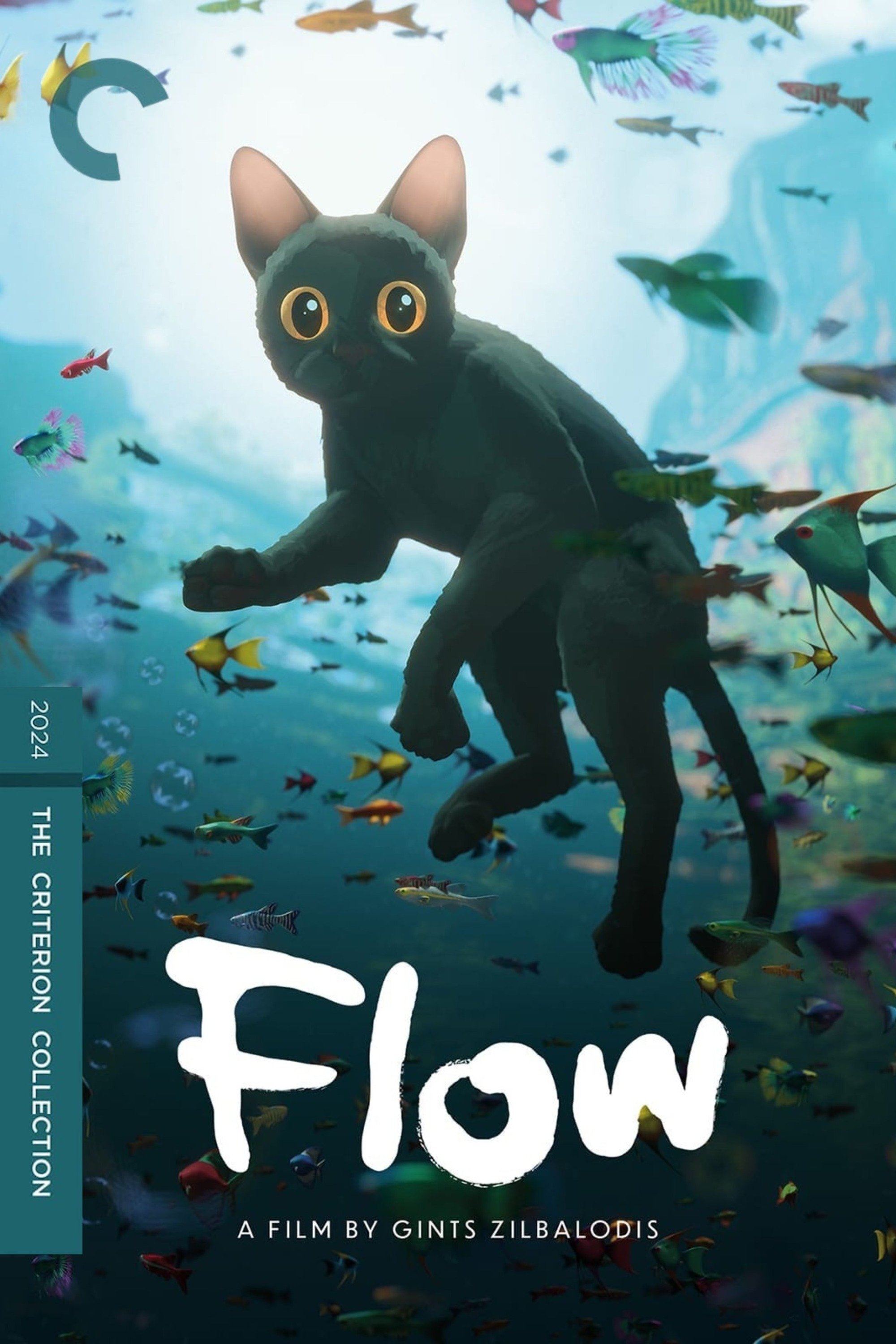Flow