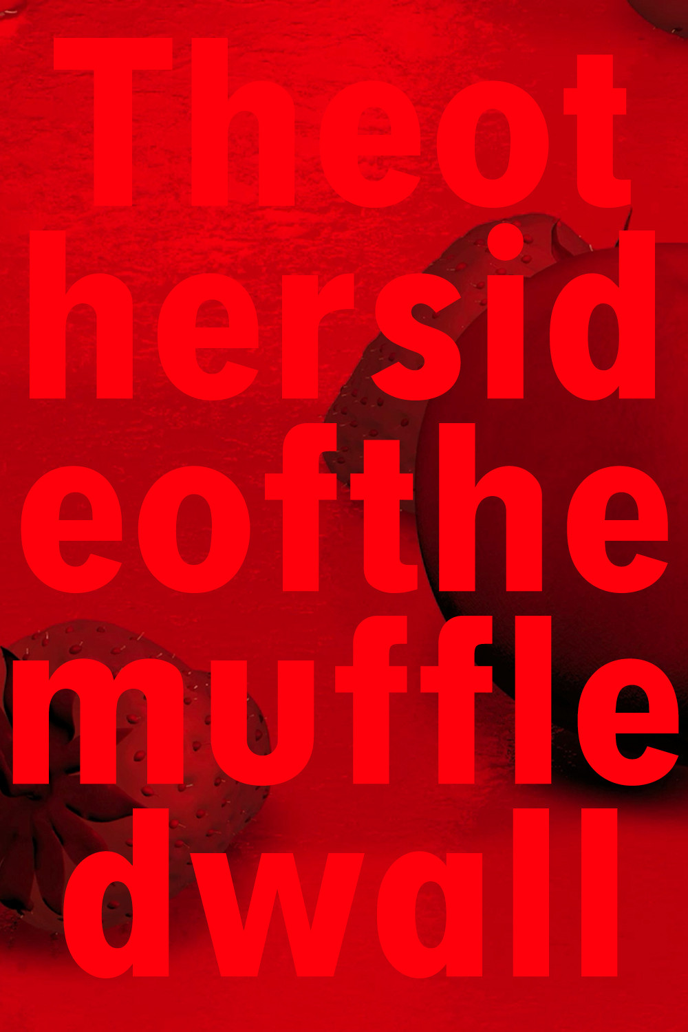 Theothersideofthemuffledwall