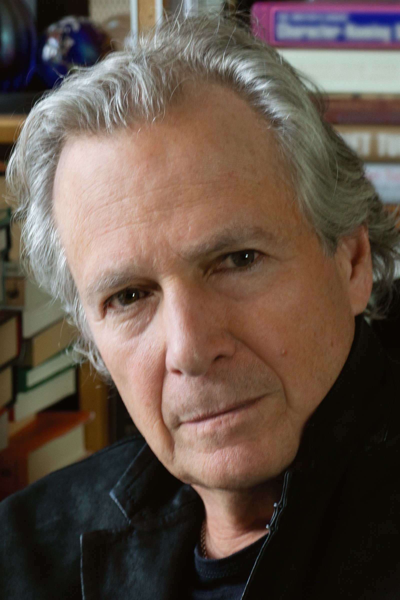 et billede af Robert Desiderio