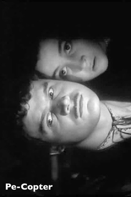 Movie image of : Пе-коптер