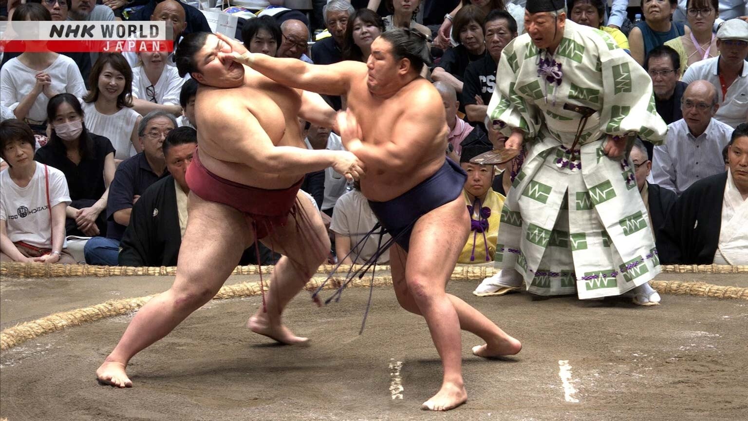 GRAND SUMO Highlights 31x5