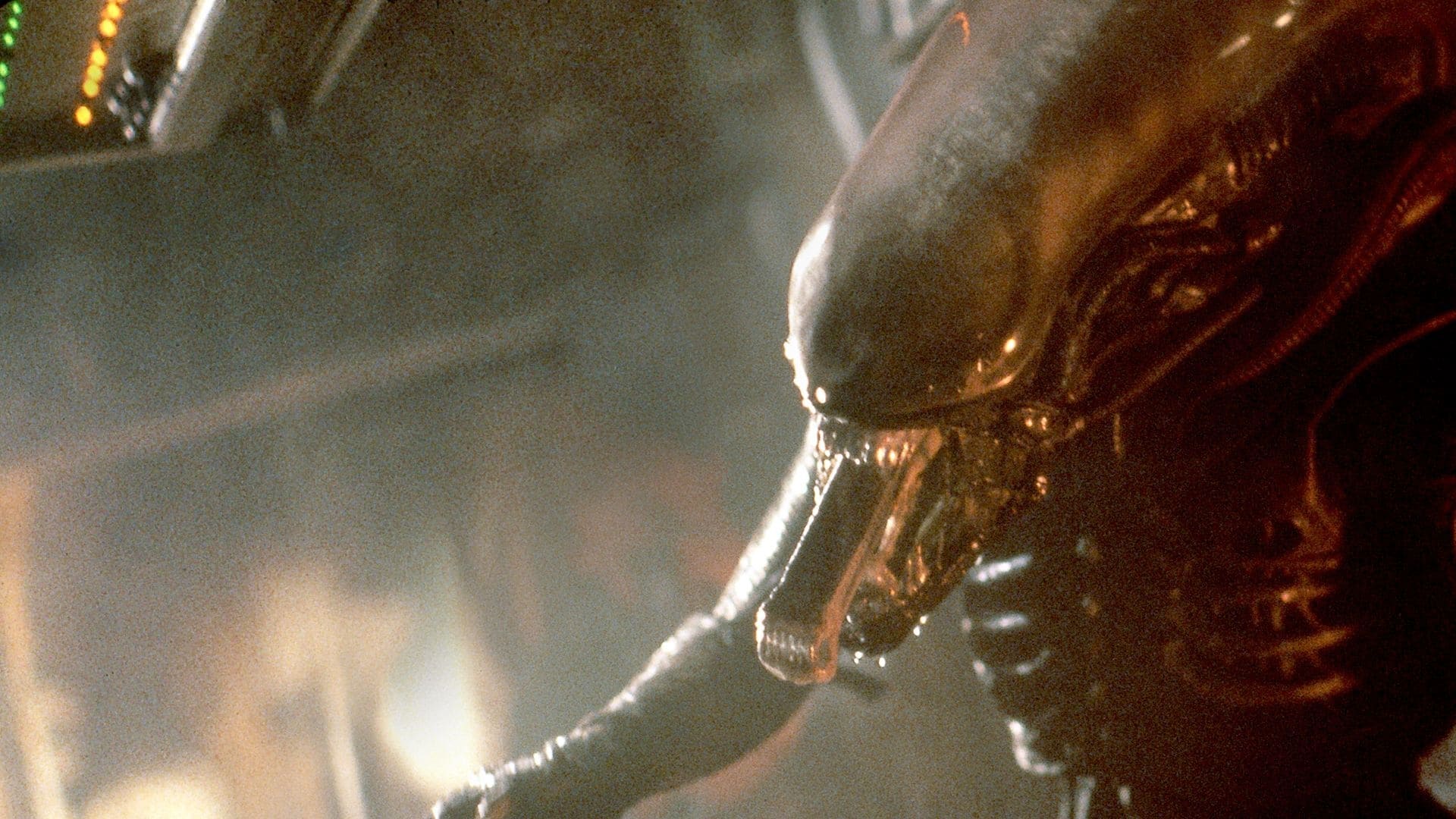 Image du film Alien, le huitième passager 8zpncas7yp4dfuarwfbqcworha9jpg