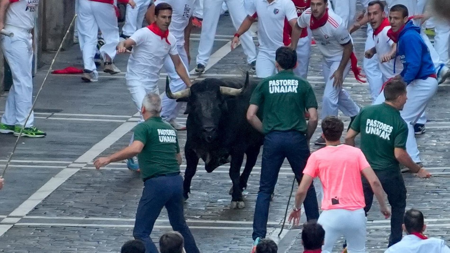 Vive San Fermín 2025x3